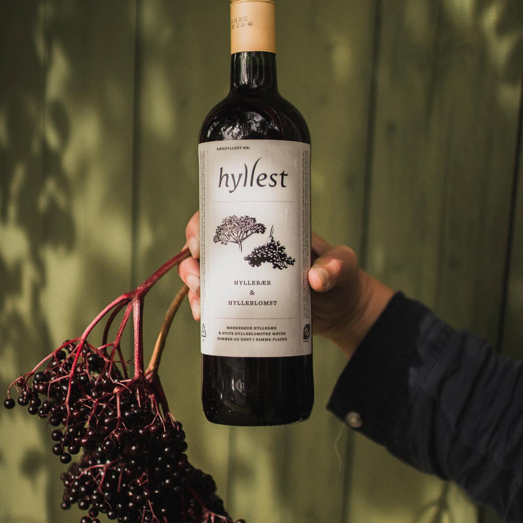 Bærhyllest – Hyllebær og hylleblomst