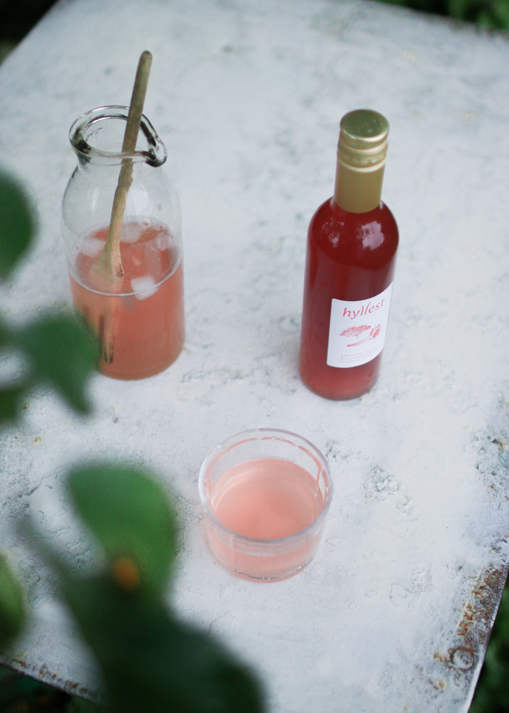 Rabarbra & Hylleblomstsirup